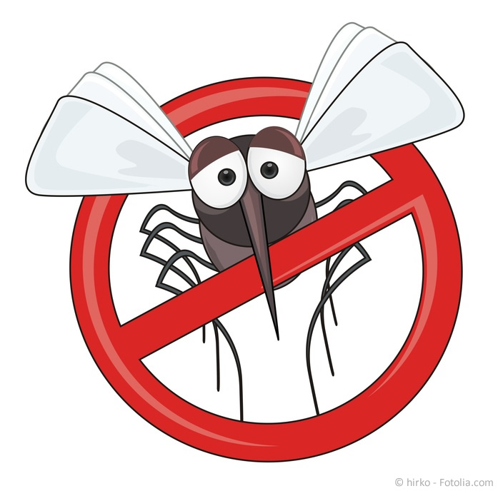 These: Google Update "Mosquito"