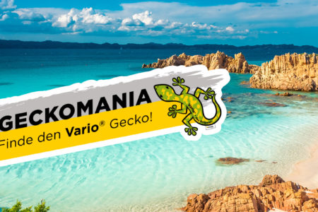 Mit ISOVER & tma pure ins Geckoland